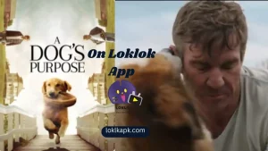 dog purpose 11zon