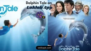 dolphin tale 11zon