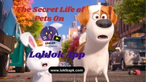 pets 11zon